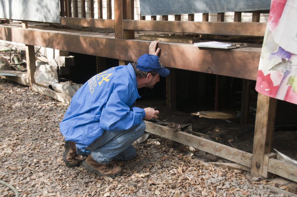 Permis StAlphonsedeGranby