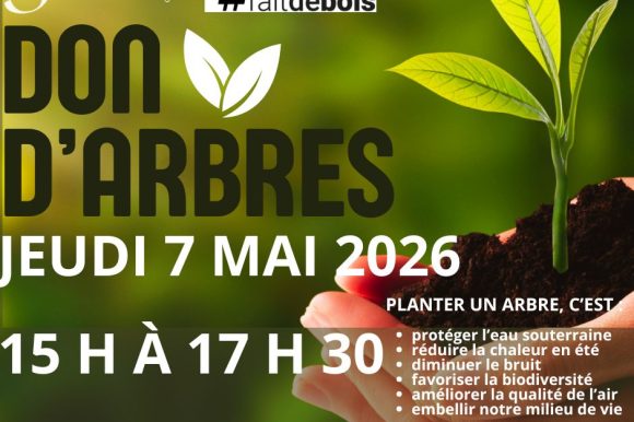 DISTRIBUTION D&rsquo;ARBRES