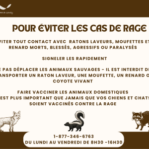 Animaux sauvages - rage POUR ÉVITER LES CAS DE RAGE