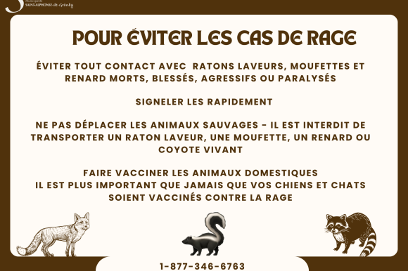 Animaux sauvages - rage POUR ÉVITER LES CAS DE RAGE